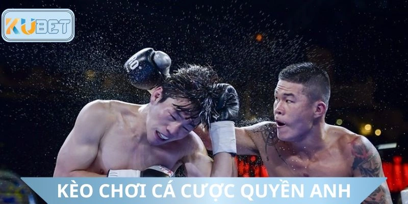 Các kèo chơi thường thấy trong dự đoán boxing